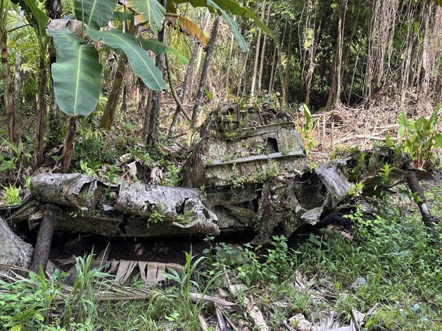 Anime Film Peleliu -Rakuen no Guernica- Peleliu Island, Type 0 Fighter Model 52 Remains Photo