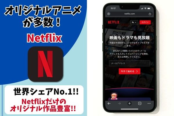 Netflix Service Information