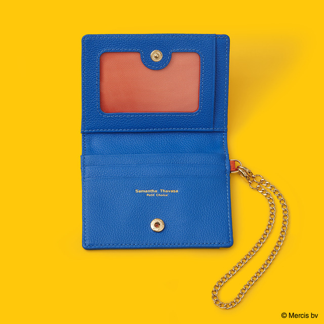 Miffy Collection Pass Case