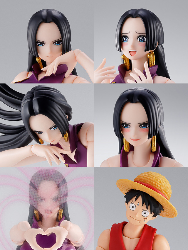 Exchange Expression Parts 5 Types, S.H.Figuarts Monkey D. Luffy -Advent of Dawn- Exchange Expression Parts