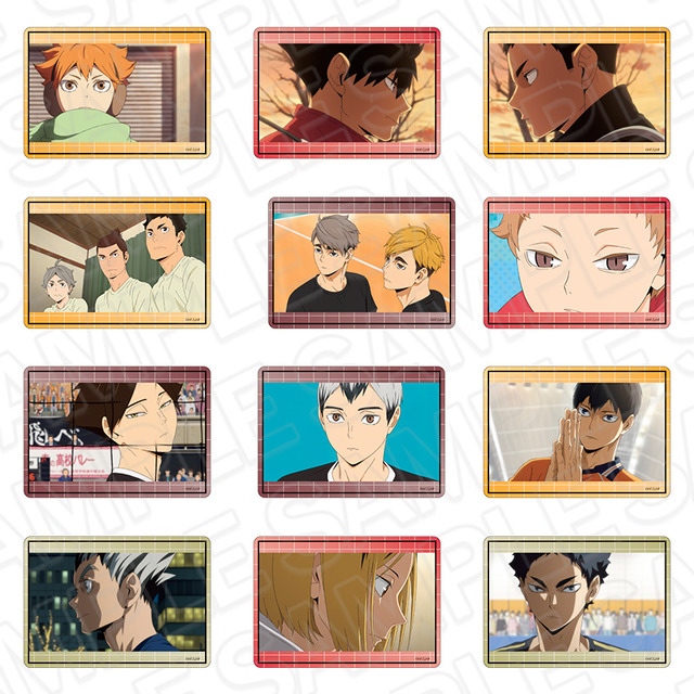 Hard Card Cases (Random)