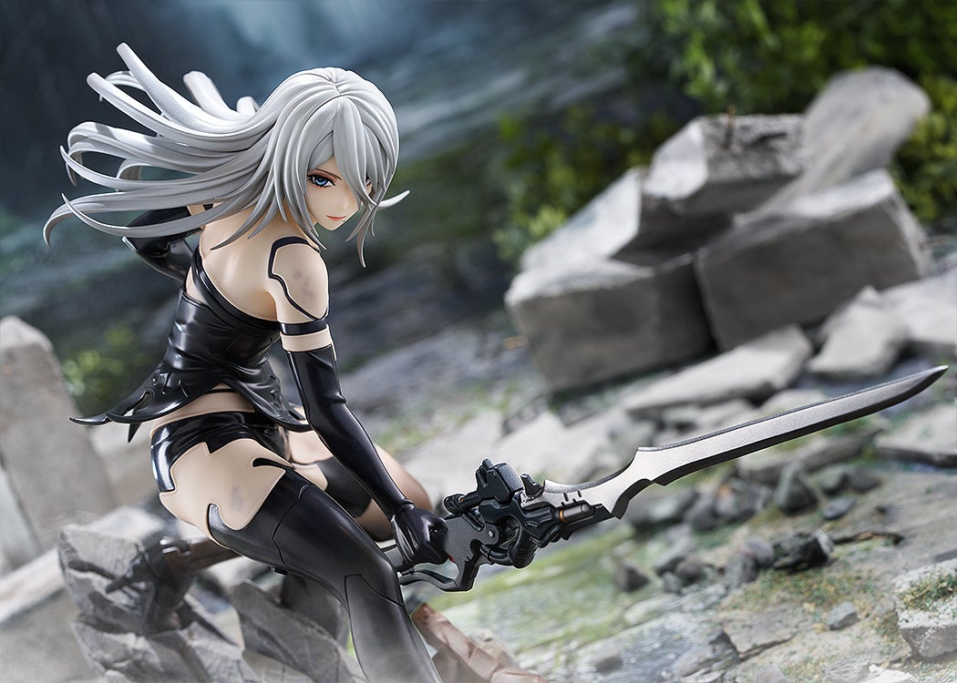 A2 Figure Image 11