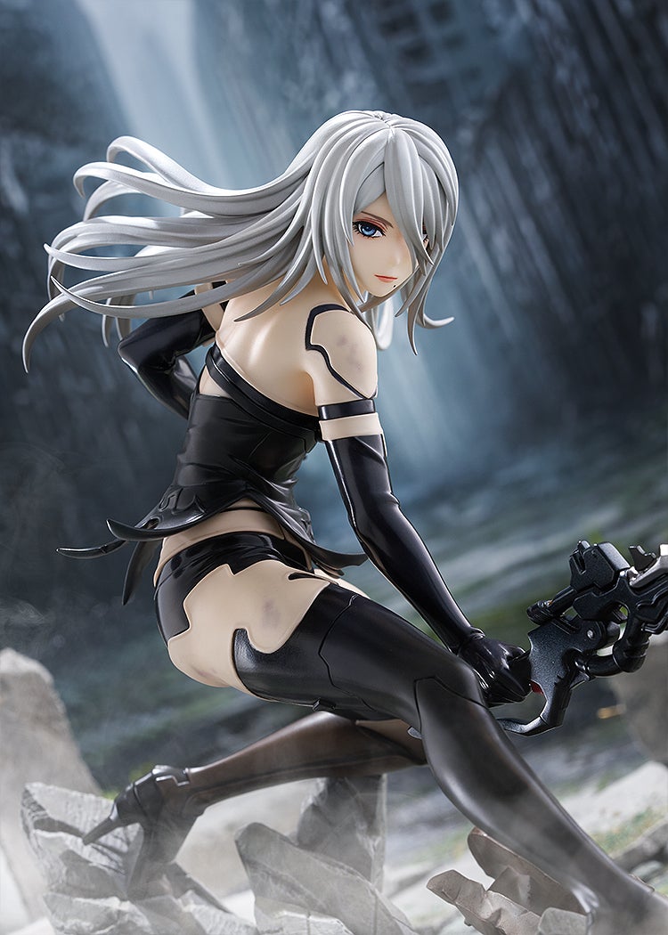 A2 Figure Image 14