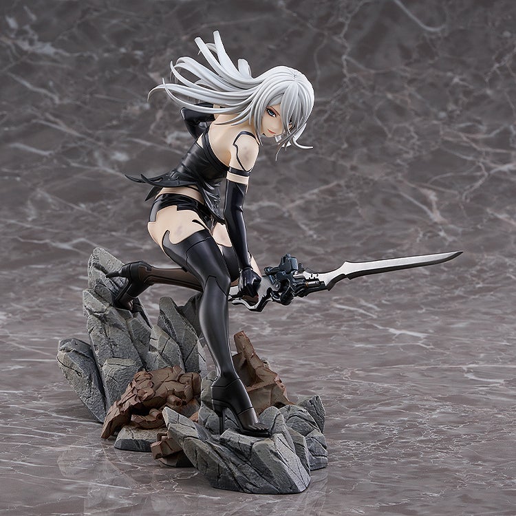 A2 Figure Image 2