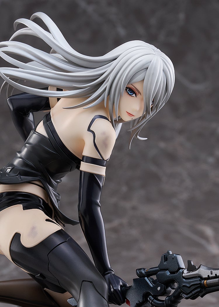 A2 Figure Image 6