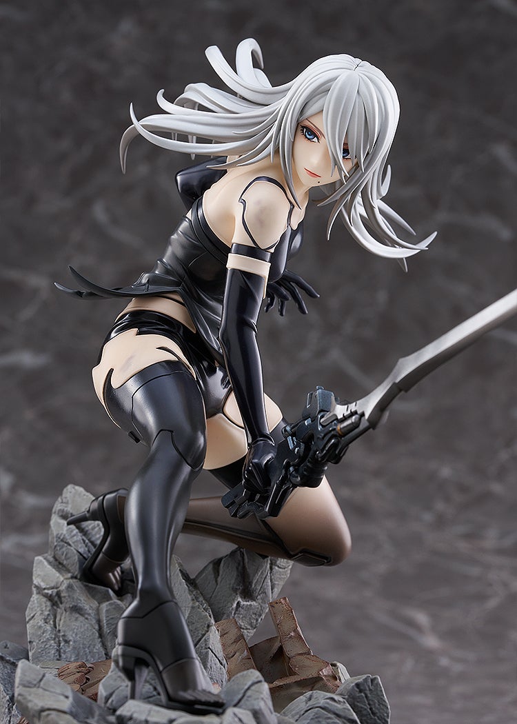 A2 Figure Image 7