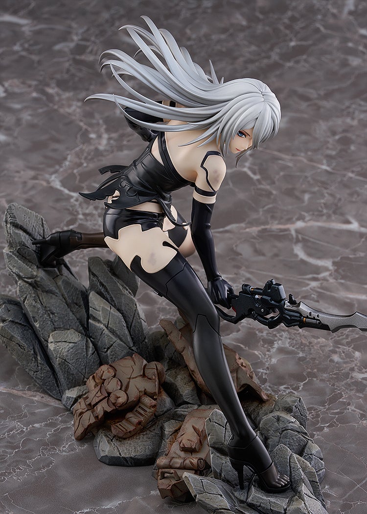 A2 Figure Image 8