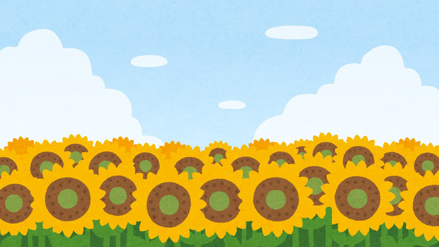 Characters whose image color is “Yellow”? Survey Deadline July 3 [#Himawari no Hi]