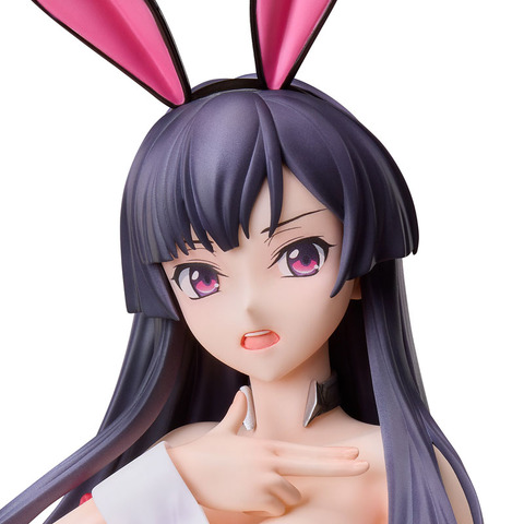 Code Geass Dakkan no Roze Sumeragi Sakuya Bunny Suit Figure: Mesmerizing Slender Legs & Faithfully Reproduced Outstanding Proportions!