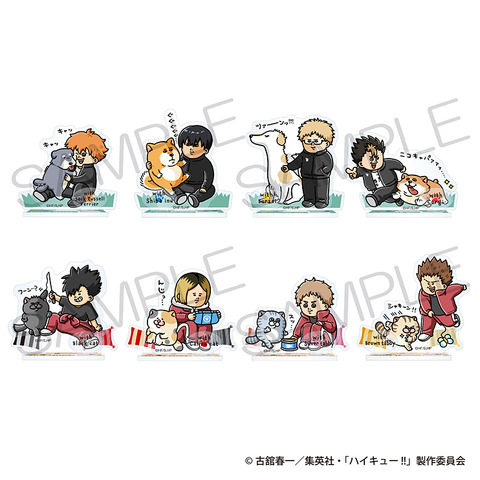 Haikyuu!! Hinata, Kenma, and More Play with Dogs or Become Cats in New Mamekichi Mameko Merchandise