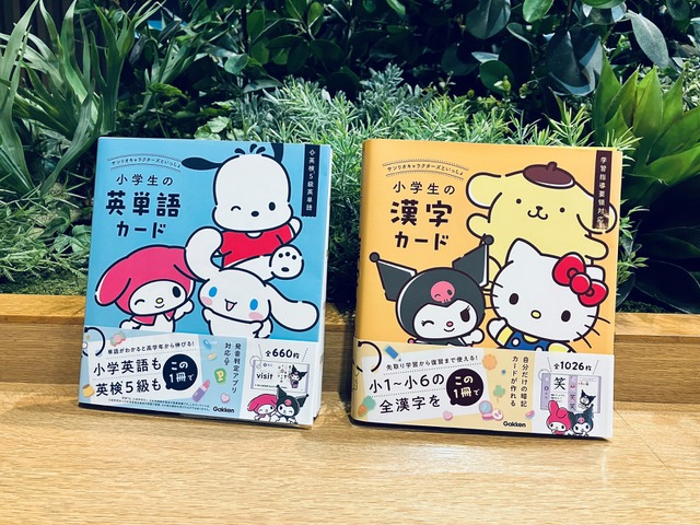 Sanrio Character Flashcards with Pom Pom Purin and Cinnamoroll Achieve Fourth Printing – Over 27,000 Copies Sold