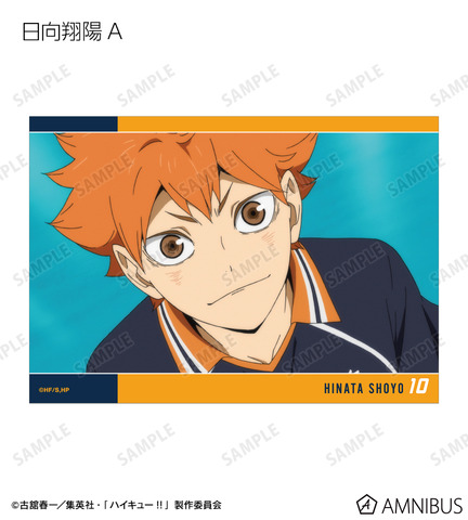 Haikyu!! Trading Scene Photo Goods Now Available for Pre-Order at AMNIBUS