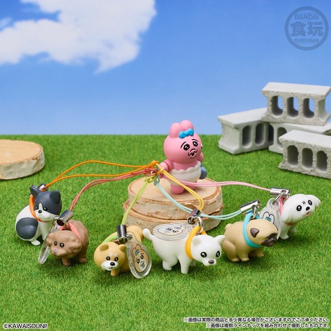 Ohpanchu Usagi × Wankoro Mascot Keychains with Biscuits Release August 17, 2026