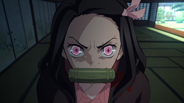 Demon Slayer Re-air Episode 23: Hashira Meeting Brings Tears and Laughter as Tanjiro Reunites with Zenitsu and Inosuke