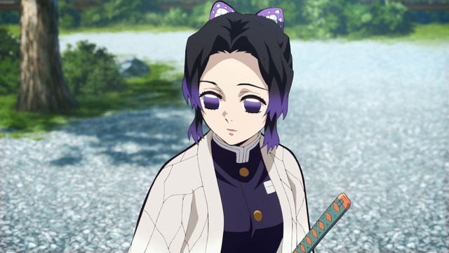 Demon Slayer Rerun Episode 22: The Hashira Gather and Fans React to Their First Impressions